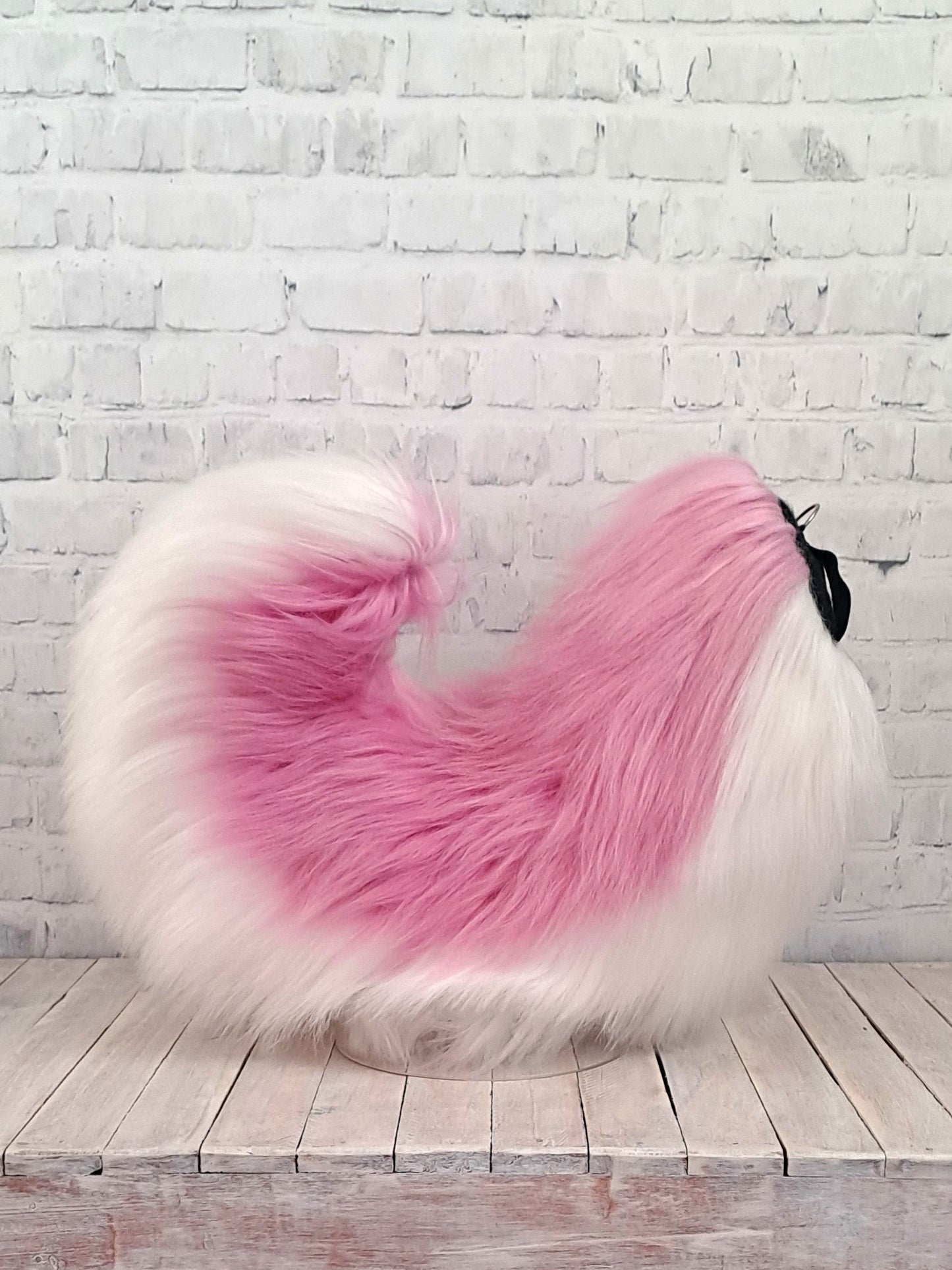 Cotton Candy husky Tail